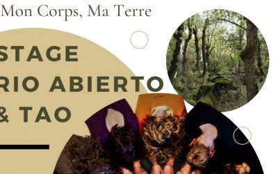 Stage RIO « Mon Corps, Ma Terre »