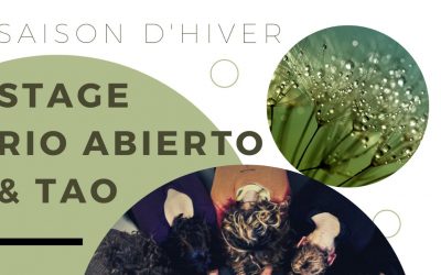 Stage RIO « Mon Corps, Ma Terre » en Hiver
